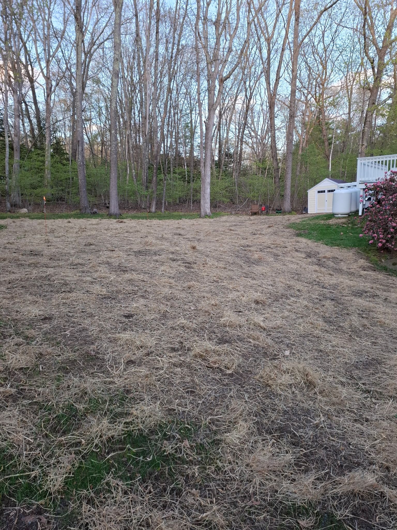 Loam, Seed, Fertilizer