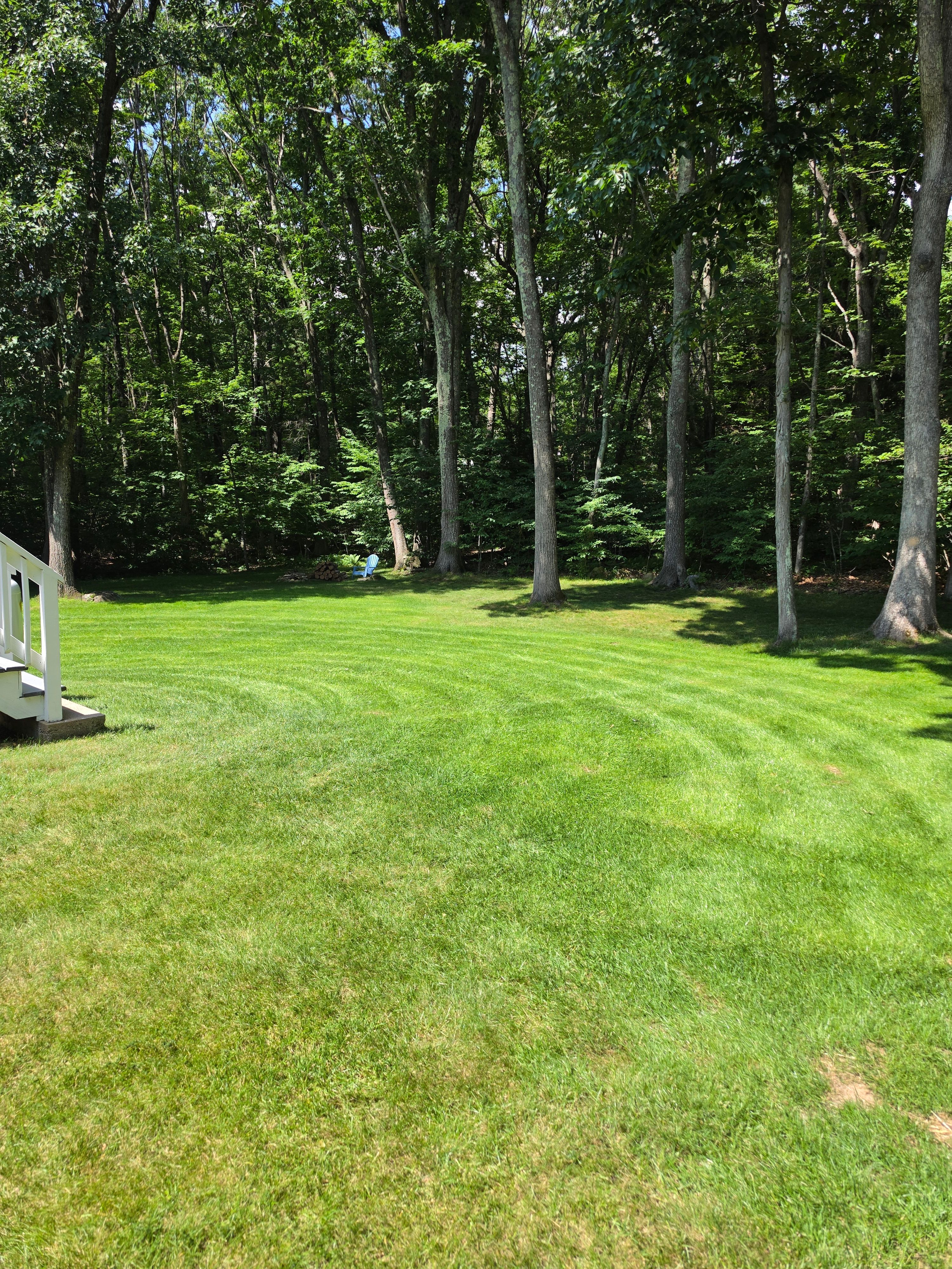 Loam, Seed, Fertilizer